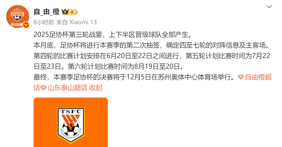 足协杯成“救命稻草”泰山“主攻”的不应是裁判的简单介绍