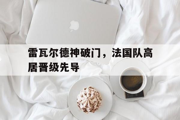 星空体育-雷瓦尔德神破门，法国队高居晋级先导
